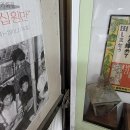 김씨박물관 티스토리