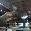 장생포고래박물관 이미지