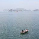 바다의숲 이미지