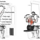 PnB 피트니스 이미지