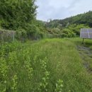 이안 태양광발전소 이미지