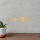 봄결 네이버블로그