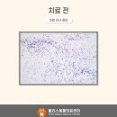 블리스 동물의료센터 이미지