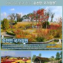 낭만클럽여행사
