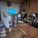 제황초등학교 이미지