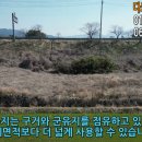 다모아농장 네이버블로그