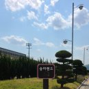 범방동 패총 이미지