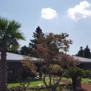 비자림힐링펜션 이미지