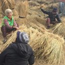 나리민박 이미지