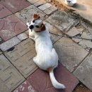 영희네 민박 이미지