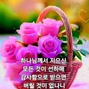 IMA: 스테이블 코인과 DEALSHAKER 관계 예측. 2026.10.17.토 이미지