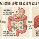 마법의약국 이미지