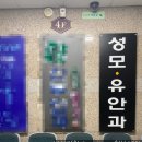 유안과의원 | 봄 알레르기, 안구건조증, 눈 염증 충혈, 간지러움으로 병원행. (+부평 성모 유안과 후기.)