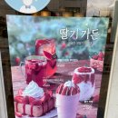 이디야커피-올림픽북문점