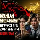 불장에서 곱버스 물린 사람들! 인버스 ETF 투자 위험 이유 총정리 (KODEX 주의)