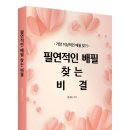 배필찾기 이미지