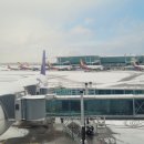 수두농장 이미지