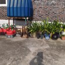 성림농장 이미지