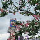 밤재 등산로 | 지리산둘레길 숙소 구례 게스트하우스 &lt;노고단게스트하우스&amp;호텔&gt;