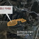 울주군 신불산 억새숲 약 32만평이 4억8,000만원에 거래되었다 이미지