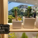 라이네쎄주