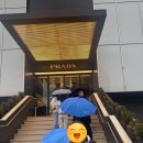 노벨라 별둘 | 피렌체 더 몰 아울렛 쇼핑 후기 | 가는법, 명품 가격, 택스리펀 (+1천만원 절약)