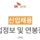 에스케이실트론주식회사(1) 이미지
