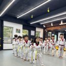 고읍 영웅 태권도장 이미지