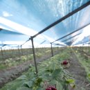 무형축산 이미지