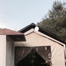 숲속 당구 이미지