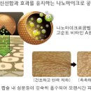 팔미시스템 이미지