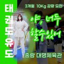 대명태권도체육관 이미지