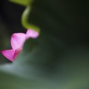 애모 - 여수시 봉산남1길 26 | 애모