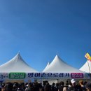 하모리-25 | 2025 제 25회 최남단 방어축제 후기