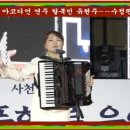 아코디언 이미지