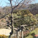 이시돌쉼터 이미지