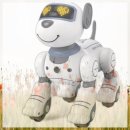 펜션바우 이미지