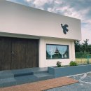 옐로우송버드 이미지