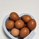 반송로 30~고분로13번길 25 | 🌸꽃돼지