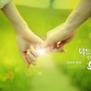 타타타 이미지