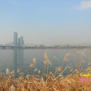 이마트24 R광명7동점 | 한강 전망이 좋은 카페, 동작 노을카페 이마트24/ 즉석사진기 대여에 맥주 메뉴까지