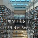 남이작은도서관 | 요즘 읽는 책 + 송도국제도서관 방문기(주차, 북카페 후기)