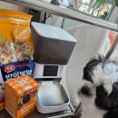 미미펫푸드 | 하림펫푸드 밥이보약 눈 건강 솔루션 8주 급여후기