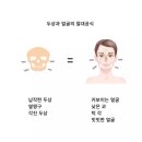 어나더근본천안