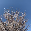 에스제이바이오 이미지