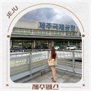 황금카써비스 | 제주 렌트카 예약 제주도 렌트카 가격비교 할인