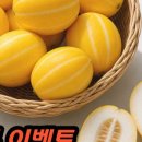 다온과일
