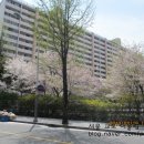 팥사랑칼국수 이미지