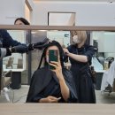 양지카크리닉 이미지