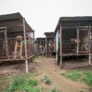 영구농장 이미지